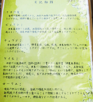 0薬膳