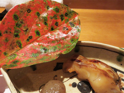 13赤むつの幽庵焼きがん見