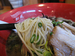 10ラーメンランチ:ラーメン・マー油入り麺@博多新風・高宮本店