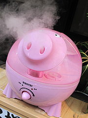 外観:豚(ブタ)の加湿器HIROTEC(ヒロテック)@麺や・てんき・平尾