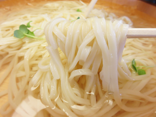 8ジャンボたらいうどんがん見