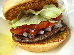 料理:サルサバーガー@フレッシュネスバーガー・リバーウォーク北九州・小倉