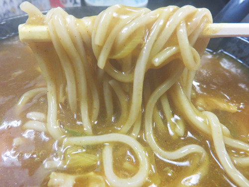 9カレー鳥南麺