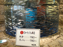 料理:かたくち鰯@雑魚屋・天神福岡店