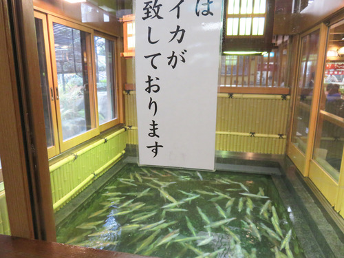 4イカサン