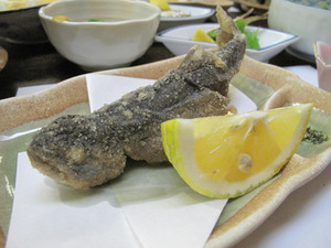 26長湯かじか庵