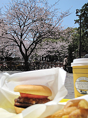 料理:フレッシュネスバーガーセット640円@フレッシュネスバーガー・リバーウォーク北九州・小倉
