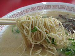 料理:ラーメン麺@長浜ラーメン・たくま