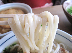 ごぼう天のうどん麺@かろのうろん