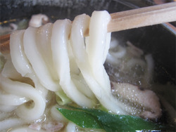 15もつ煮込みうどん@こまどりうどん福重