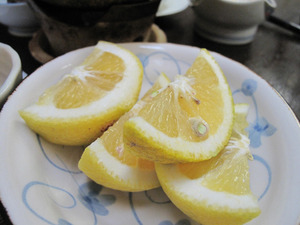 22長湯かじか庵