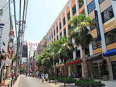 外観:ザ・ショップス(THE-SHOPS)のある通り@手打ち蕎麦・やぶ金・天神・大名