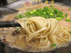ラーメン:ラーメン麺@博多一幸舎・野間店・高宮