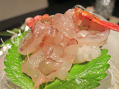 12夜:アカアシエビ@たつみ寿司・総本店・博多座裏