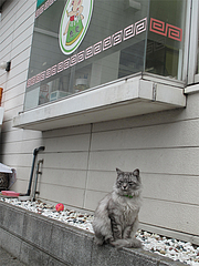 外観:猫@ラーメン魁龍(かいりゅう)博多本店