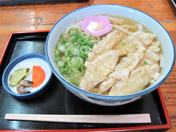 6ごぼう天うどん480円@長州うどん