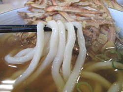 9うどん麺@博多うどんセンター・中野屋総本店