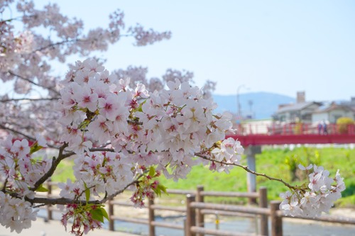 ºù
