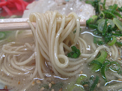 11ランチ:カタメン@昭和福一ラーメン博多駅前店・祇園
