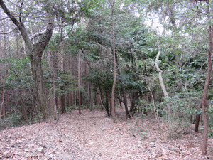 9つづく@大徳寺