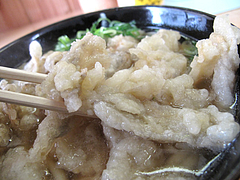 14ランチ:ごぼう天うどんのごぼ天@天ぷらうどん・唐人町