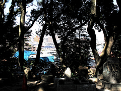外観:眺め@高宮八幡宮・福岡
