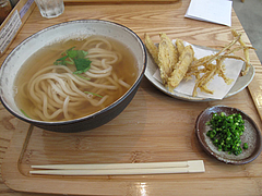 10ランチ:かけ400円とごぼう天160円@うどん日和・六本松