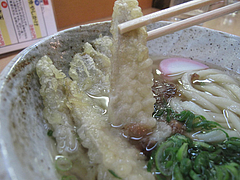 ランチ:ごぼう天@さぬきうどん大木戸・福岡舞鶴店