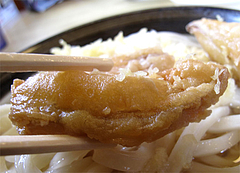 ランチ:ごぼう天衣@牧のうどん・空港店