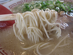 9ランチ:ラーメン麺カタ@七福亭ラーメン