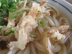 ごぼう天のごぼう@かろのうろん