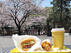 料理:サルサバーガーセット640円@フレッシュネスバーガー・リバーウォーク北九州・小倉