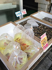 21外観:美野島商店街の魚屋さん@サンディッシュ・カフェ・美野島