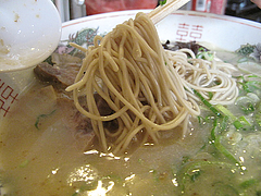 14ランチ:豚骨ラーメン480円@屋台KENZO Cafe(ケンゾーカフェ)・きたなトラン