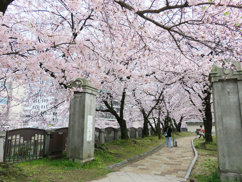 9公園2
