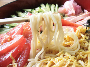 16冷やし中華麺@城南うどん