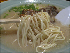 10ランチ:豚骨ラーメン麺@居酒屋kikura(キクラ)・博多駅