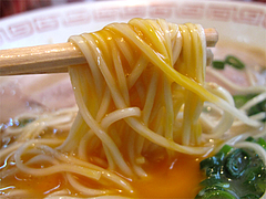 料理:卵麺@一九ラーメン筑紫・蔵