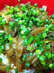 5ランチ:牛ばら丼アップ@ビック鯛はのぼる・サンセルコ