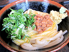 料理:ねばたま(納豆釜卵うどん)小420円大520円@讃岐うどん大使・福岡麺通団