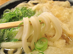 ランチ:ごぼううどん@長住うどん