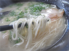11ランチ:とんこつらーめん麺@ラーメン・博多ダーメン屋八千代店(八千代ダーメン)