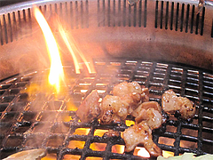 10ランチ:萌えるホルモン@焼肉万歳・薬院店