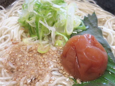 6鯛骨麺・梅