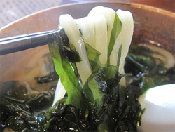 11志賀島産わかめうどん@あずま家