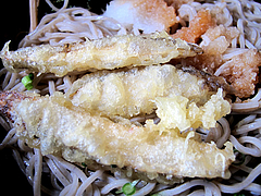 ランチ:おろしぶっかけ蕎麦ごぼ天@春月庵本店・博多区竹下