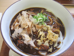 10カレーぶっかけうどん480円@博多うどんセンター・中野屋総本店