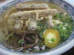 6ランチ:ごぼ天うどんアップ@恵味うどん・薬院
