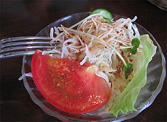 ランチ:サラダ@LION-CURRY(ライアンカリー)・佐賀・鳥栖