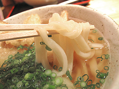 料理:ごぼう天うどんの麺@もちもち麺工房松・住吉